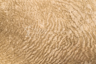 Астраган, высота ворса 0.4 - 0.6 см, цвет песок